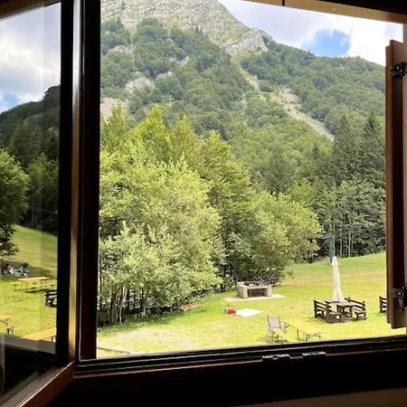 Sulle Piste Da Sci *